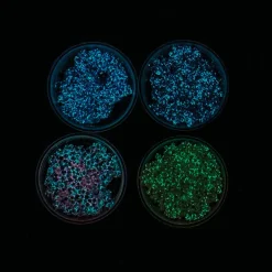 Glow in the Dark Glops & Dots Modeling Foam - 24 per display