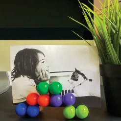 Rainbow Twister Toys - 12 per display